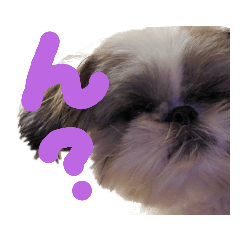 [LINEスタンプ] ★PAZU★