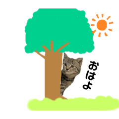 [LINEスタンプ] もと野良猫〜おいもちゃん