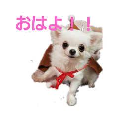 [LINEスタンプ] RinRin-