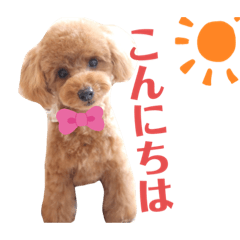 [LINEスタンプ] サンステコハク