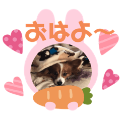 [LINEスタンプ] 可愛い常務くん2