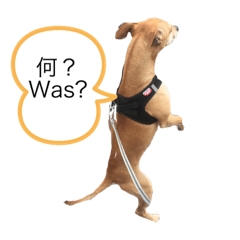 [LINEスタンプ] 日常用語(日本語とドイツは)