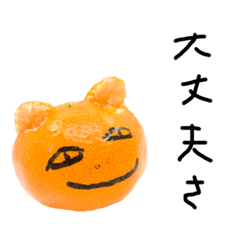 [LINEスタンプ] みかんのねこさん