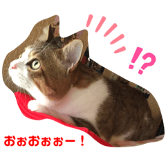 [LINEスタンプ] あもくんスタンプ♡2
