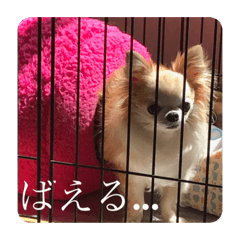 [LINEスタンプ] りゅうNo.3