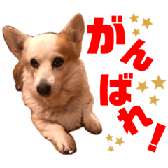 [LINEスタンプ] 大好きなはるへ