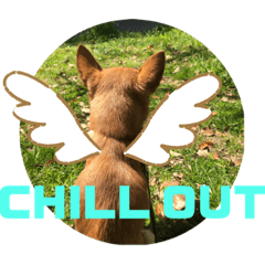 [LINEスタンプ] 関西弁犬シュー吉2