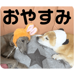 [LINEスタンプ] パティー＆ベル