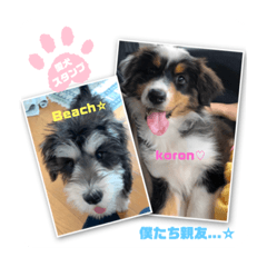 [LINEスタンプ] koron☺︎♡beach☺︎