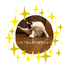 [LINEスタンプ] とらとはく 2