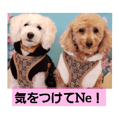 [LINEスタンプ] 殿若8