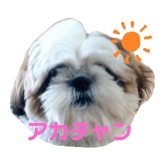 [LINEスタンプ] ゼオと藤丸