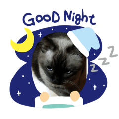 [LINEスタンプ] うちの猫chan