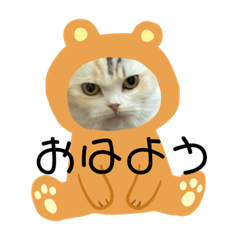 [LINEスタンプ] ココニャン