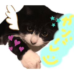 [LINEスタンプ] いろいろなめりー