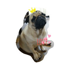 [LINEスタンプ] リッチョだよ