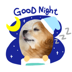 [LINEスタンプ] ママ友と日常で使えそうなスタンプ！