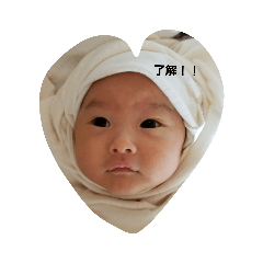[LINEスタンプ] にーこ