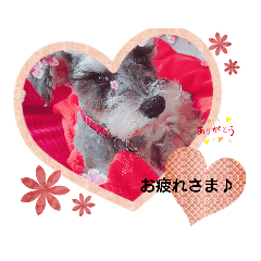 [LINEスタンプ] ルーク＆サラ