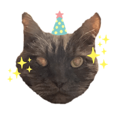 [LINEスタンプ] にゃあちゃん スタンプ2