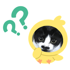 [LINEスタンプ] 我が家のにゃんず3