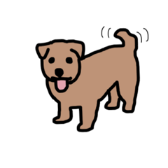 [LINEスタンプ] 犬のノーフォークテリア