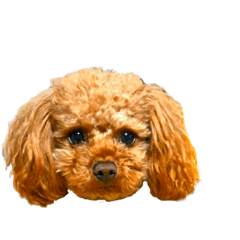 [LINEスタンプ] わんぱくチャイ君