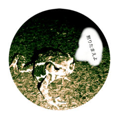 [LINEスタンプ] 自然の生き物