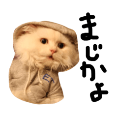[LINEスタンプ] かぺるのすたんぷ