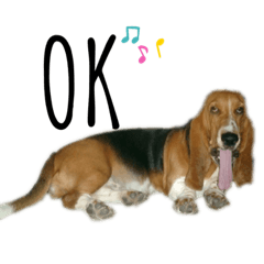 [LINEスタンプ] バセットハウンド ミミ＆スージー
