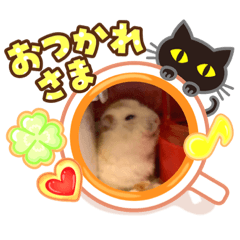 [LINEスタンプ] ハムスターの日常69