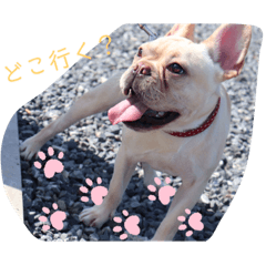[LINEスタンプ] おしゃべりしよう