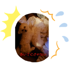[LINEスタンプ] アニマルリアルアクション
