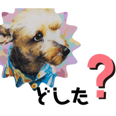 [LINEスタンプ] よろしく！サムです‼️