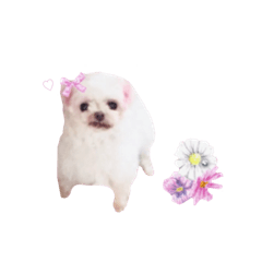 [LINEスタンプ] maru57