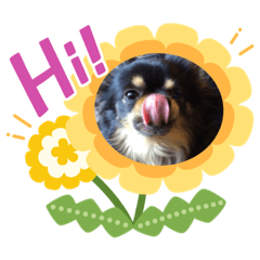 [LINEスタンプ] 櫻井家の「のんちゃん」スタンプ2
