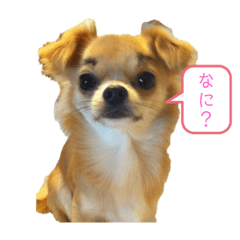 [LINEスタンプ] やつらがくる！