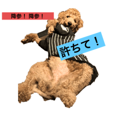 [LINEスタンプ] ワイ氏カールばーしょん さん