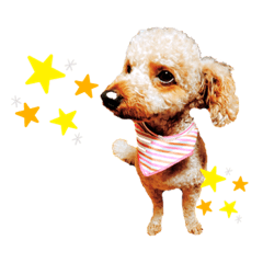 [LINEスタンプ] ちゃっぴー＆みるく