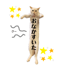 [LINEスタンプ] 笹かまアイドル白玉ちゃん
