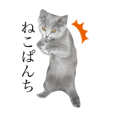 [LINEスタンプ] ももとすも