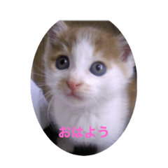 [LINEスタンプ] keiちゃんず