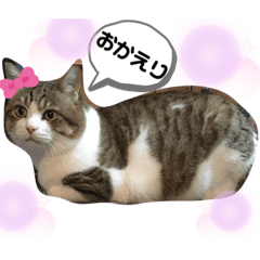 [LINEスタンプ] ♡あもちゃん③