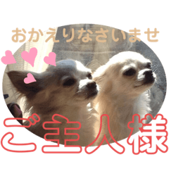 [LINEスタンプ] のんきい❤