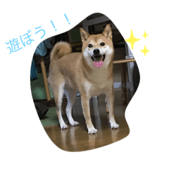 [LINEスタンプ] はなちゃん2☆