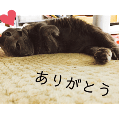 [LINEスタンプ] ももイロイロ