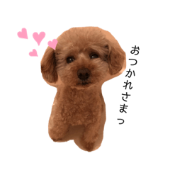 [LINEスタンプ] 吉川家の次男。らいっぺ