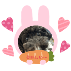 [LINEスタンプ] 可愛い夜叉丸