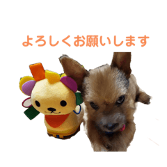 [LINEスタンプ] 日常使えるノーリッチなマット＆ねね＆ロビン