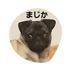 [LINEスタンプ] Lovefamilyー